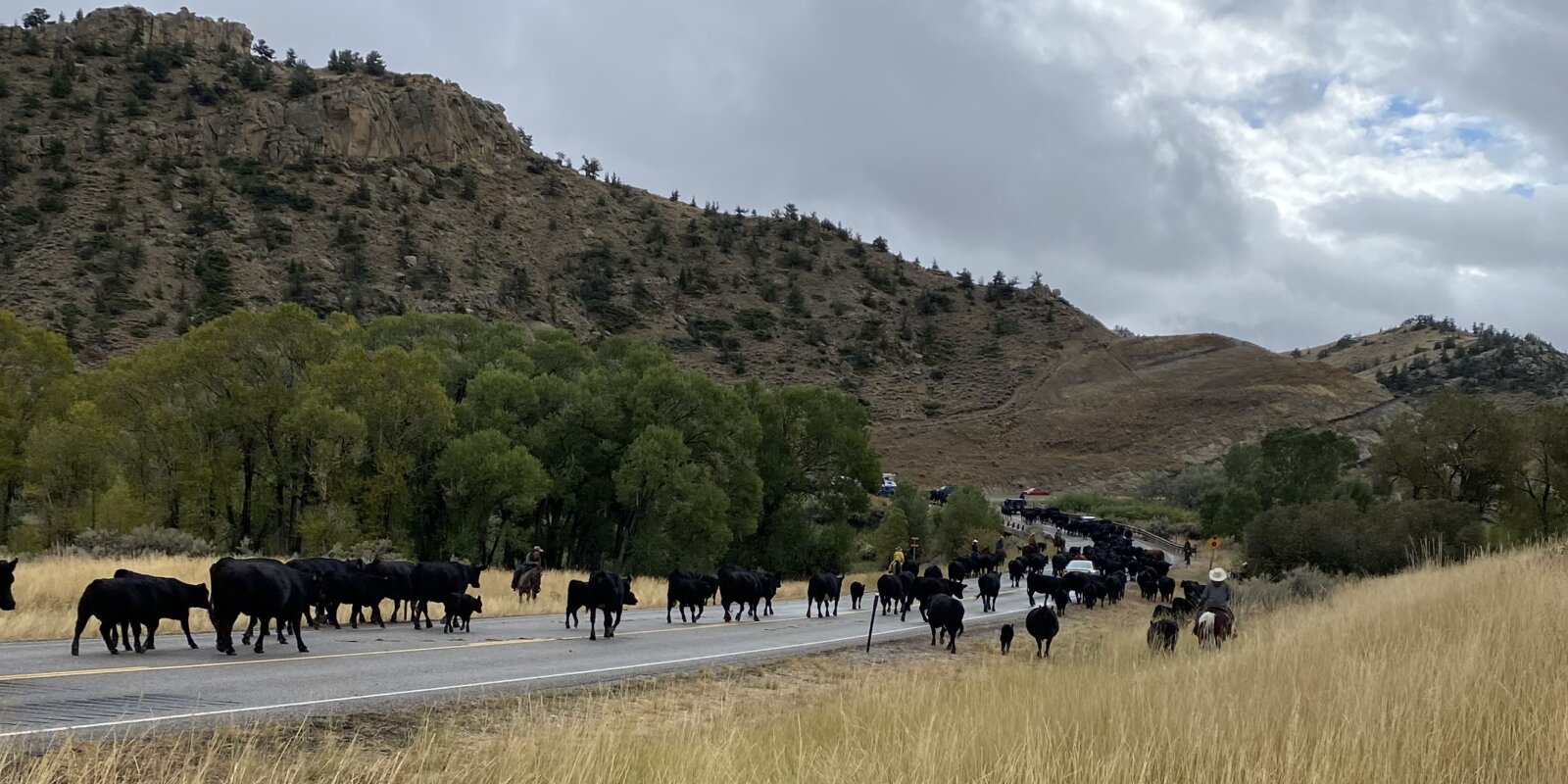 Cody Real Estate Eagle Real Estate