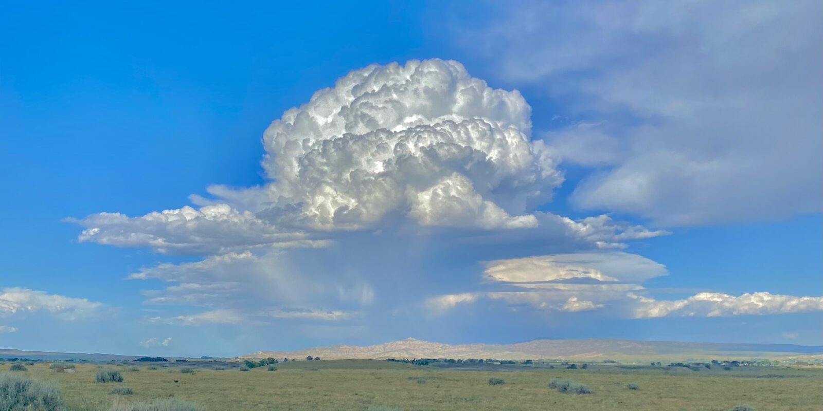 Cody Real Estate Eagle Real Estate