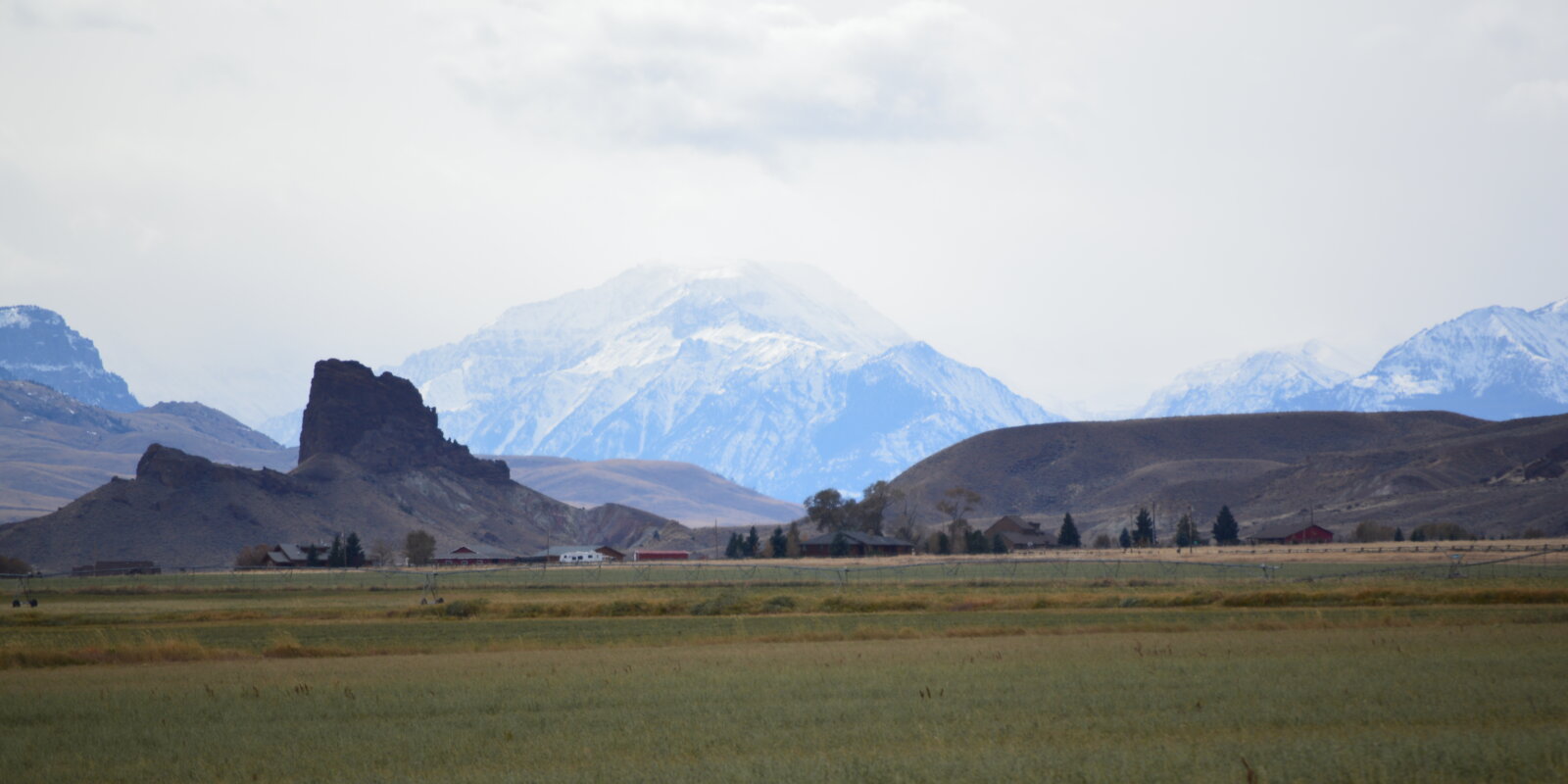 Cody Real Estate Eagle Real Estate